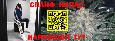 бошки Моздок