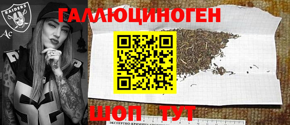 Псилоцибиновые грибы мицелий Горячий Ключ